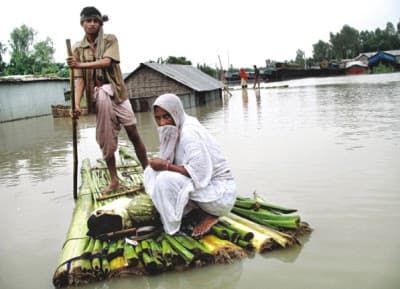 সিডর ও একটি শাড়ির গল্প